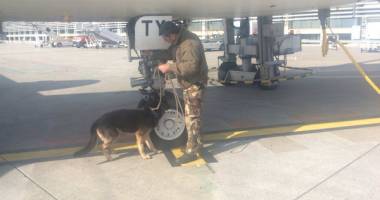 Autoritățile franceze au EVACUAT aeroportul din Toulouse. Alerta s-a dovedit falsă - 2