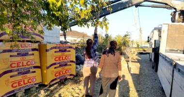 Stire din Economie : CELCO a donat materiale de construcții sinistraților din Corbu și Luminița