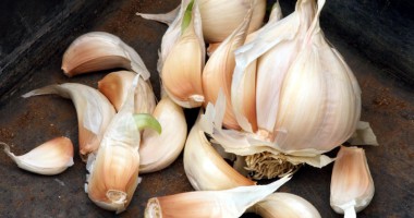 Stire din Sănătate : Usturoiul,  cel mai puternic  antibiotic natural