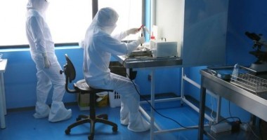Stire din Sănătate : Două persoane arestate în scandalul traficului de ovule