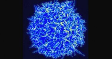 Stire din Sănătate : Descoperire uluitoare în tratamentul anticancer