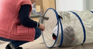 Stire din Social : Terapia pentru copiii cu dizabilități, îmbunătățită prin joacă la Centrul de Zi din Constanța