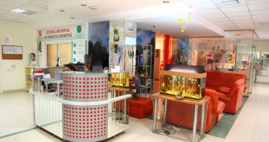 Stire din Sănătate : Clubul Hera îți dă sfaturi despre sănătatea și frumusețea ta