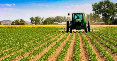 Ce programe agricole vor primi undă verde de la Guvern