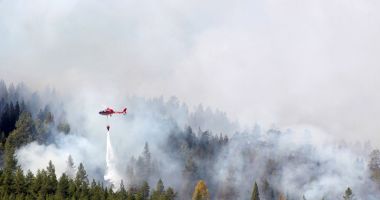 Stire din Actualitate : Cercul Arctic, lovit de un fenomen fără precedent
