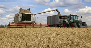 Stire din Actualitate : Ucraina ameninţă că dă în judecată ţările UE, inclusiv România, dacă nu vor ridica restricțiile legate de cereale pe 15 septembrie