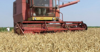 Stire din Eveniment : Afaceriste acuzate că au țepuit statul cu peste 4 milioane de euro