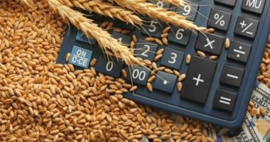Stire din Social : Primul exportator mondial de grâu își va suspenda exporturile până la 1 iulie