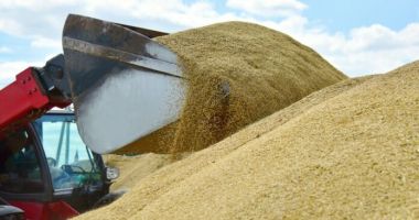 Stire din Economie : Pentru prima oară valoarea cerealelor produse în România a trecut pragul de 5 miliarde de euro