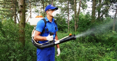Stire din Politică-Administrație : Primăria Cernavodă a dat startul acțiunii de combatere a insectelor