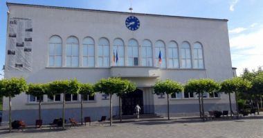 Stire din Politică-Administrație : Primăria Cernavodă, amplă acţiune de dezinsecţie