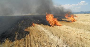 Primăria Cernavodă interzice utilizarea focului deschis pentru curăţarea terenurilor