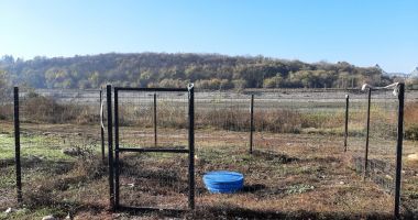 Stire din Politică-Administrație : Autorităţile locale din Cernavodă, mulţumite de puţurile construite în oraş