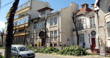 Stire din Politică-Administrație : De ce au fost tăiați copacii din zona Cazinoului? Remus Cernea cere explicații Primăriei
