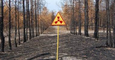 Stire din Actualitate : Ucraina / Incendiul de lângă centrala nucleară de la Cernobâl, stins în totalitate