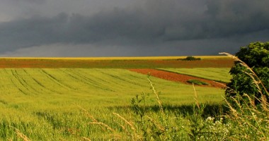 Cum va fi vremea astăzi, la Constanța