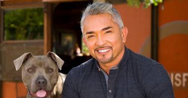 Stire din Actualitate : Dresorul de câini Cesar Millan, anchetat pentru cruzime față de animale