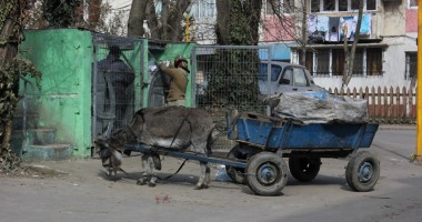 Viața de constănțean, vecin cu hoți și cocalari - 2