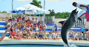 Stire din Social : Tristeţe mare la Delfinariul din Constanţa! A murit Chen Chen!