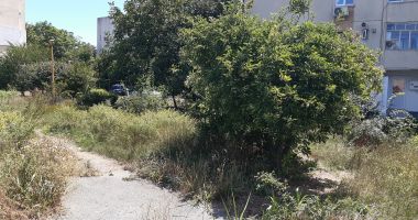 Șerpăria din Inel 2. Tudorel Chesoi: "Proiectele mele sunt în favoarea constănțenilor" - 3