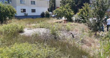 Șerpăria din Inel 2. Tudorel Chesoi: "Proiectele mele sunt în favoarea constănțenilor" - 5