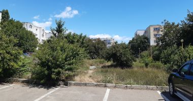 Șerpăria din Inel 2. Tudorel Chesoi: "Proiectele mele sunt în favoarea constănțenilor" - 2
