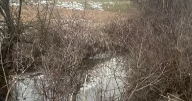 Stire din Eveniment : Anchetă după moartea celor doi frați înecaţi în pârâu. Familia a mai pierdut doi copii în trecut