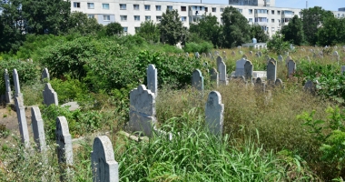 "Jungla" din Cimitirul Musulman. "În religia islamică, deshumarea e interzisă!" - 3
