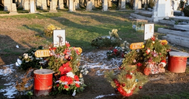 Învățați să îi respectați! Asta e diferența dintre voi și ei! Ei mor pentru țară. Voi vă "îmbolnăviți" la DNA și în pușcării - 15