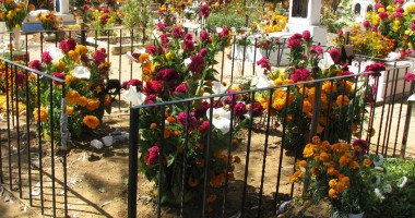Cimitirul Săpânța, cel mai "viu"  și colorat cimitir din lume - 10