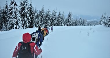 Stire din Eveniment : 5 ani de la catastrofa aviatică din Apuseni. Doi morți, zeci de întrebări fără răspuns. "Un dosar ținut sub cheie…"