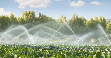 Stire din Economie : Ciolacu: "Numărul hectarelor irigate a crescut acum la 1,6 milioane"