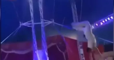 Șoc la circ! Un acrobat a căzut peste spectatori în timpul unui număr extrem de periculos