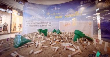 Opere de artă-statement, din chiștocuri colectate de pe litoral, vor fi licitate în beneficiul naturii, la City Park Mall - 2