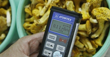 Stire din Actualitate : Urme de cesiu radioactiv în ciupercile importate din Rusia și Belarus!