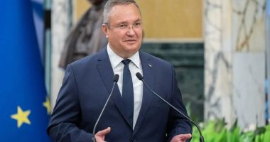 Premierul anunţă că se vor lua măsuri pentru a corecta plafonarea preţului la lemnele de foc