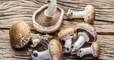 Stire din Sănătate : Ciupercile sunt importante surse de fibre, vitamine și minerale