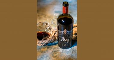 Savurează vinurile Navigo și descoperă terroir-ul unic al Dobrogei - 2