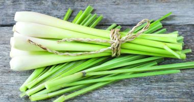 Stire din Sănătate : Lemongrass-ul echilibrează nivelul de colesterol din sânge