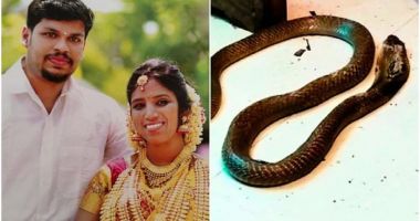 Stire din Actualitate : Un bărbat din India și-a ucis soția bogată cu o cobră, după ce nu a reușit să o omoare cu o viperă