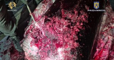 Stire din Eveniment : Trimiși în judecată pentru că au ascuns cocaină în butoaie cu pulpă de fructe