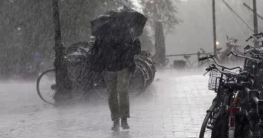 Stire din Social : Cod galben și portocaliu de vânt în toată țara. Rafale de până la 120 km/h la munte