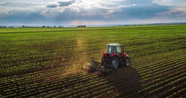 Stire din Economie : Cu cât se mai vinde un hectar de teren arabil în România
