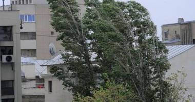 Stire din Social : Anunț de ultimă oră de la meteo. COD GALBEN DE VÂNT ȘI VREME REA