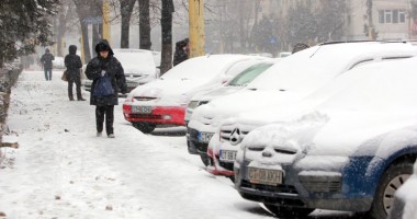 Urgia albă a ajuns la Constanța - 10