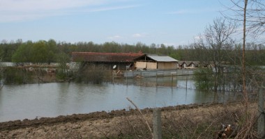 Stire din Social : Panică! POLUARE cu produse petroliere, pe DUNĂRE