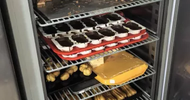 Stire din Social : Ce mâncăm din vitrine? Dulciuri neconforme, amenzi usturătoare