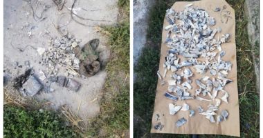 Stire din Eveniment : Cazul Caracal / Dosar penal în legătură cu modul în care INML a făcut expertiza ADN