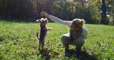 Stire din Cetățenești : Colțul constănțeanului supărat