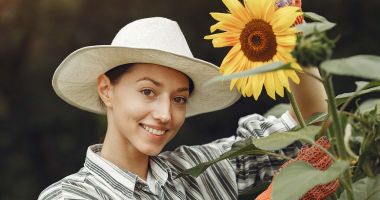 Combaterea eficientă a buruienilor în culturile de floarea-soarelui